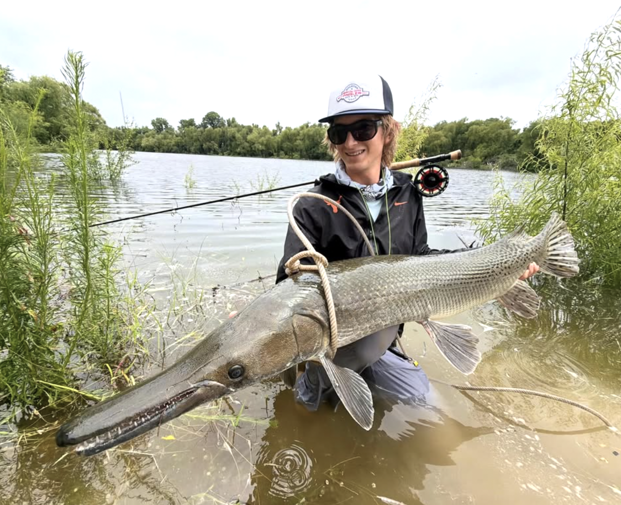 Alligator gar caught on fly