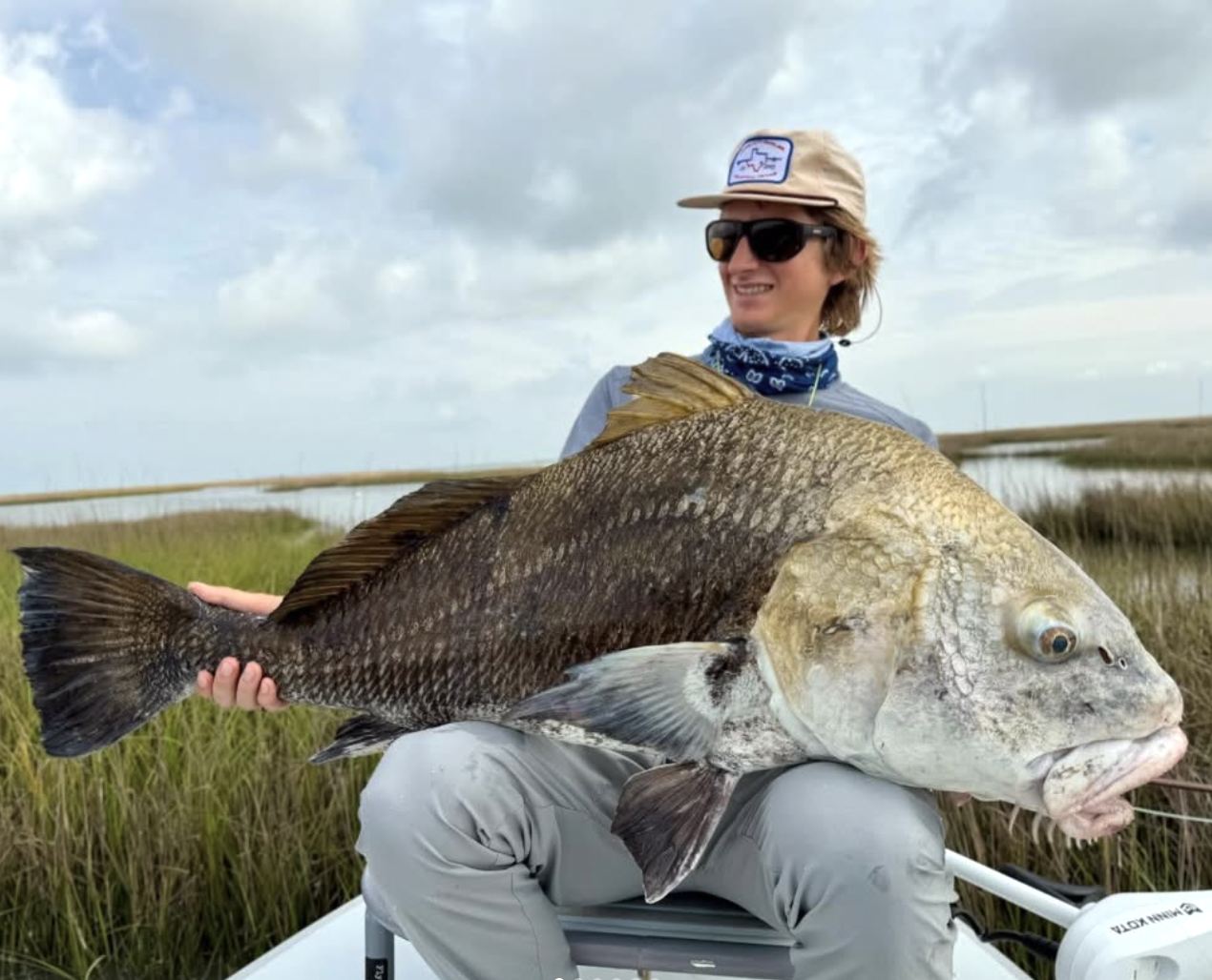 Black drum caught on fly